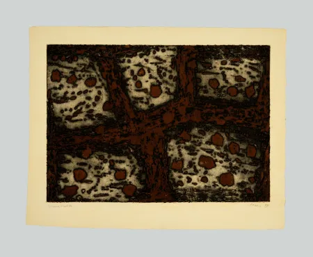 Radierung Und Aquatinta Music - Terre dalmate