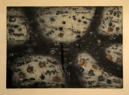 Stich Music - Terre d’Istrie