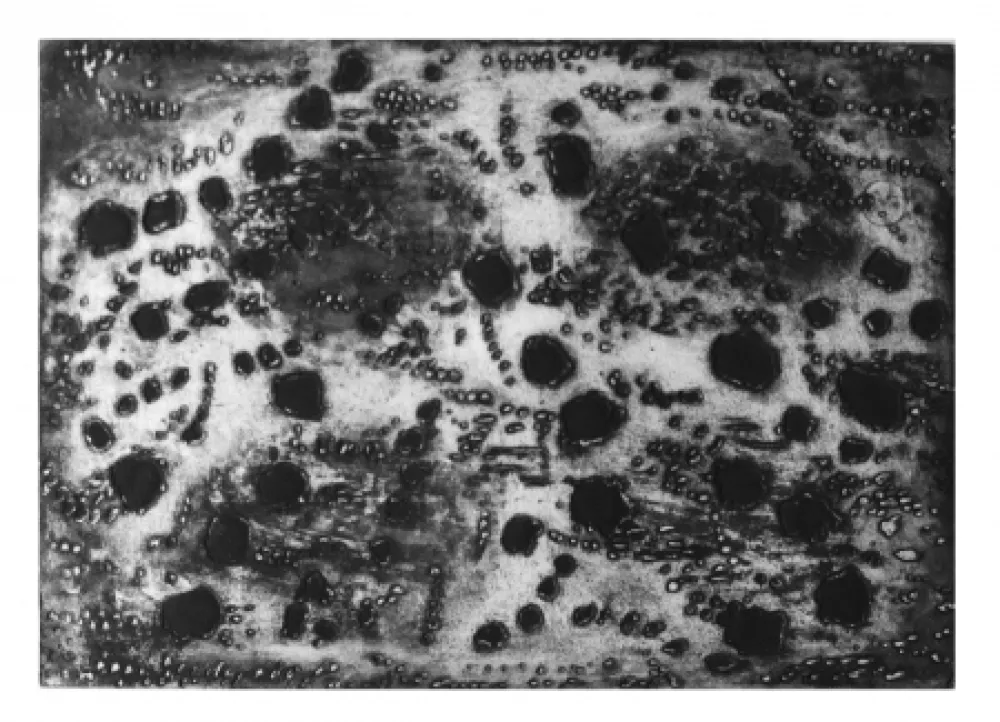 Stich Music - Terre d'Istrie