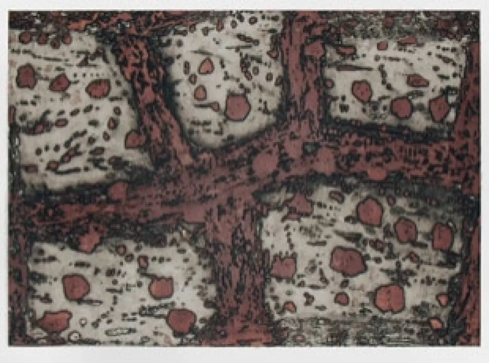 Stich Music - Terre d'Istrie