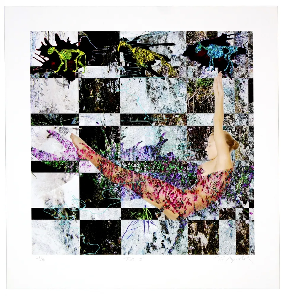 Digitale Druckgrafik Myrvold - Fall II