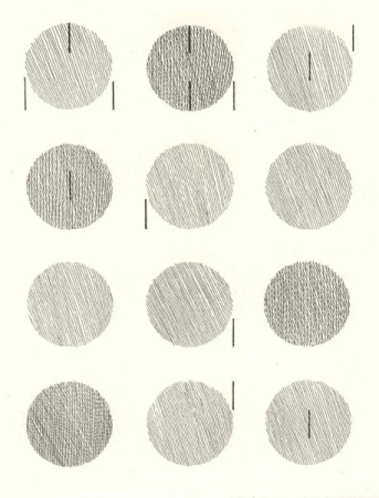 Illustriertes Buch Nangeroni - Sei poesie per un romanzo