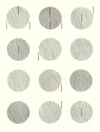 Illustriertes Buch Nangeroni - Sei poesie per un romanzo