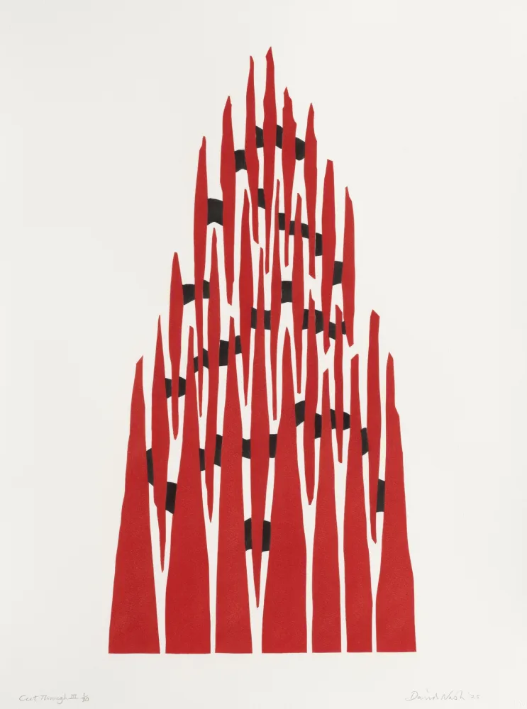 Pochoir Nash - Cut Through III