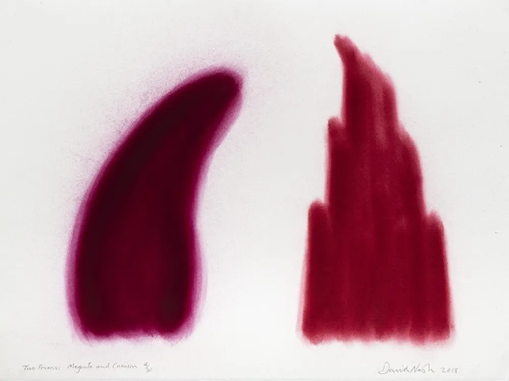 Pochoir Nash - Two Forms, Magenta and Crimson