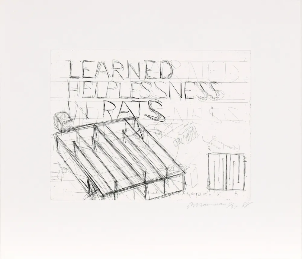 Radierung Nauman - Learned Helplessness from Rats