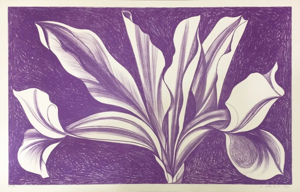 Hochdruck Nesbitt - IRIS