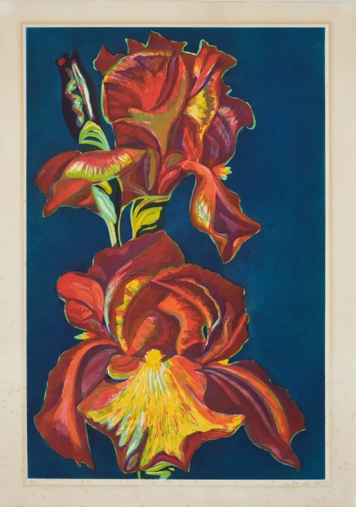 Aquatinta Nesbitt - Iris