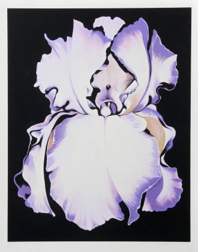 Siebdruck Nesbitt - White Iris on Black