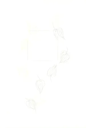 Stich Nishikawa - Physalis