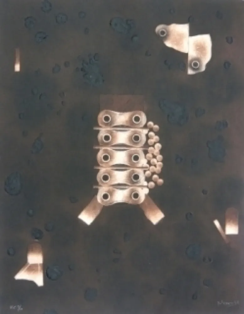 Stich Nissen - Mariposa obsidiana 4