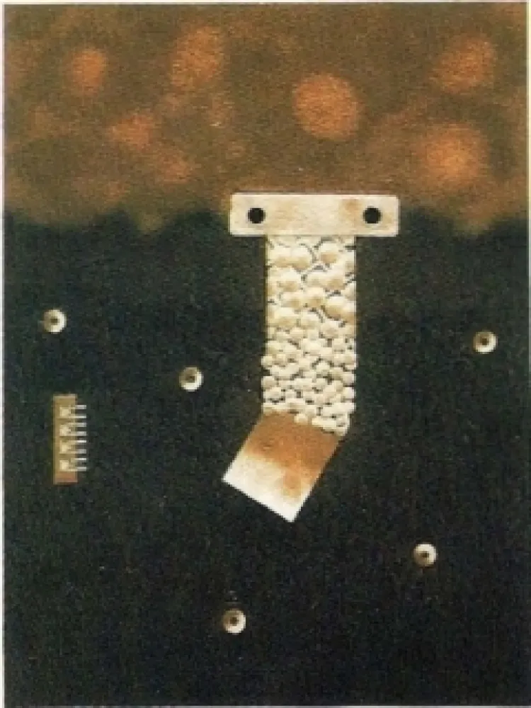 Stich Nissen - Mariposa obsidiana 6