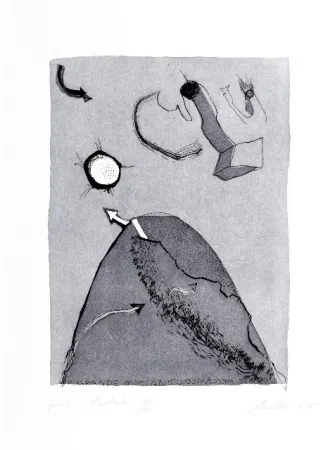 Radierung Und Aquatinta Novelli - Il grande meccanico