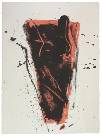 Lithographie Nupen - Séance II