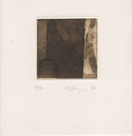 Illustriertes Buch Ochiai - Haiku