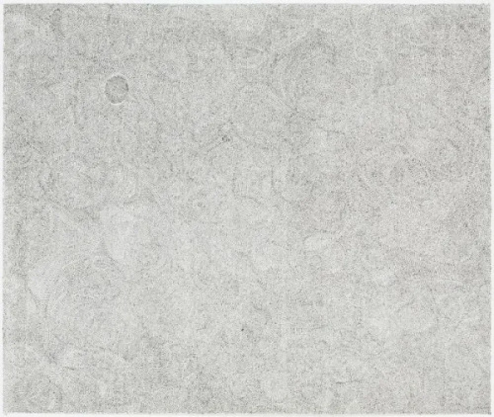 Stich Ofili - Untitled