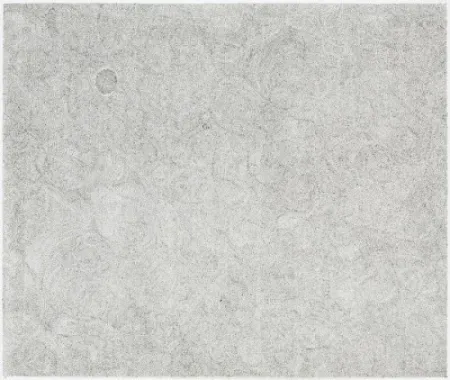 Stich Ofili - Untitled