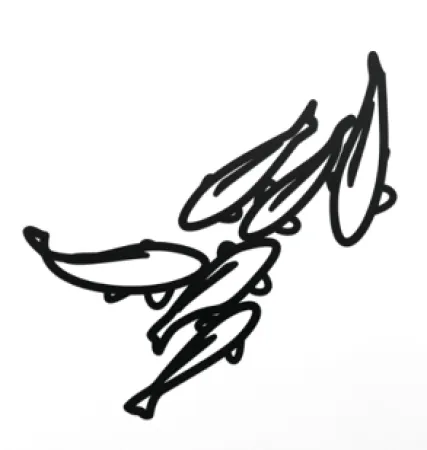 Keine Technische Opie - Carp 1, from Nature 1 Series