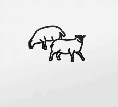 Keine Technische Opie - Sheep 2, from Nature 1 Series