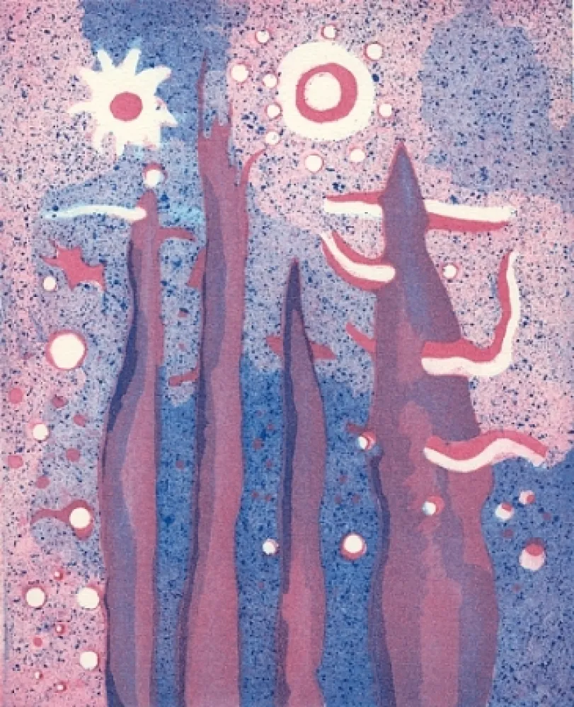 Illustriertes Buch Paladino - Piano-sequenza