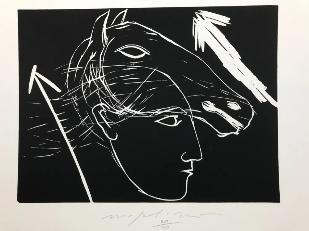 Stich Paladino - Sagittario