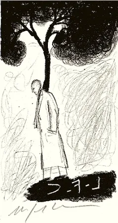 Illustriertes Buch Paladino - Tartre