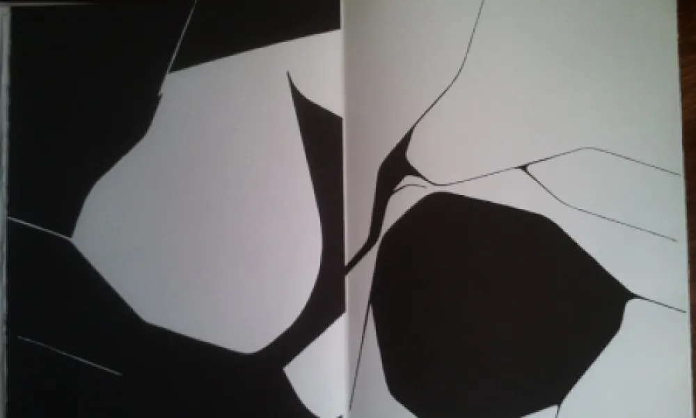 Illustriertes Buch Palazuelo - DLM 137 LUXE.