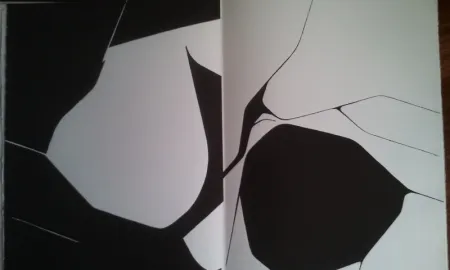 Illustriertes Buch Palazuelo - DLM 137 LUXE.