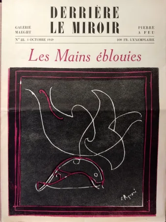 Illustriertes Buch Palazuelo - Dlm22