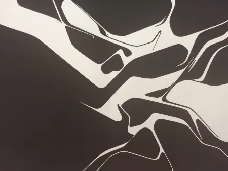 Illustriertes Buch Palazuelo - Edition Tete DLM 137