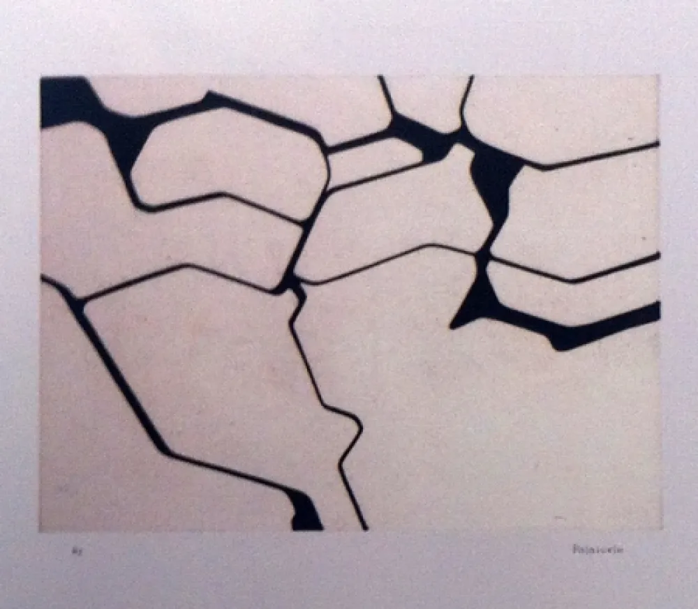 Aquatinta Palazuelo - Nemo II