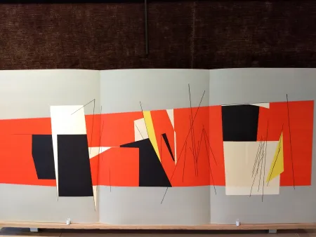 Illustriertes Buch Palazuelo - Tendance