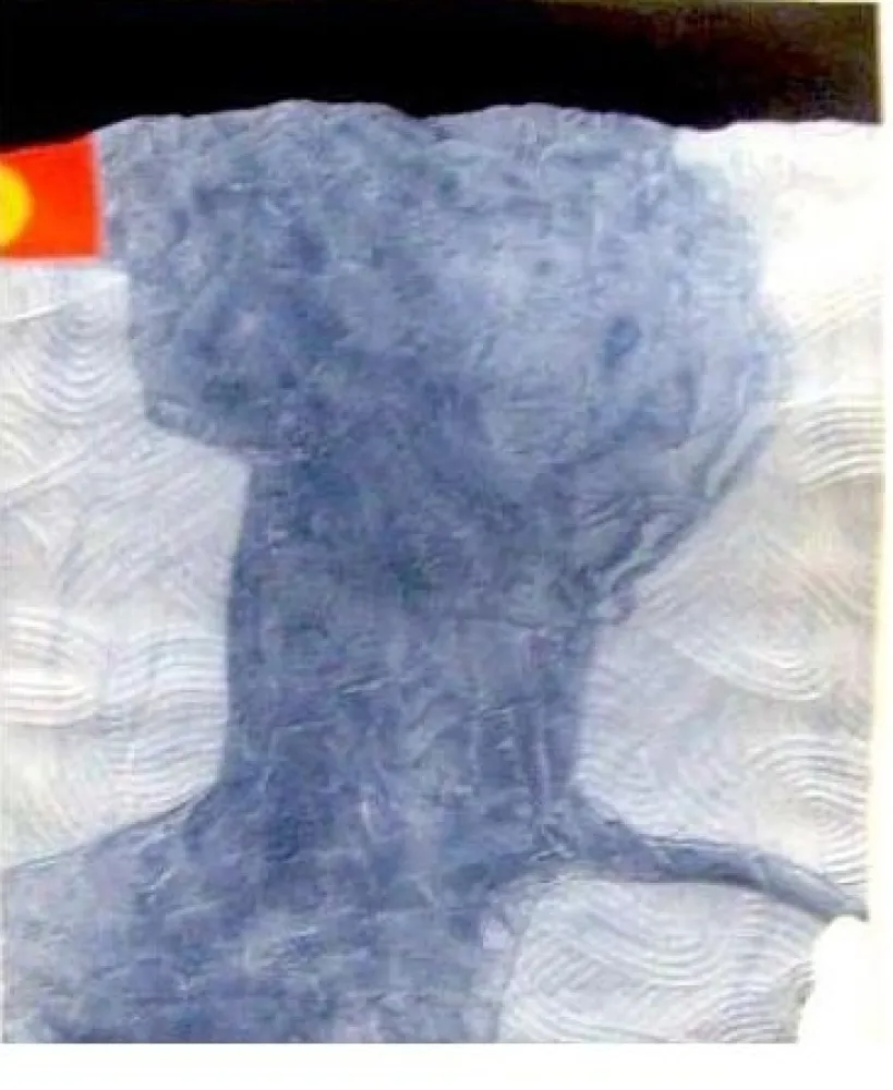 Stich Papart - Composition