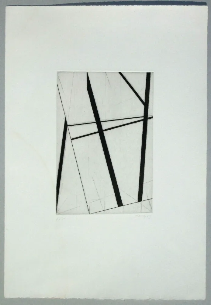 Stich Pardi - Composizione