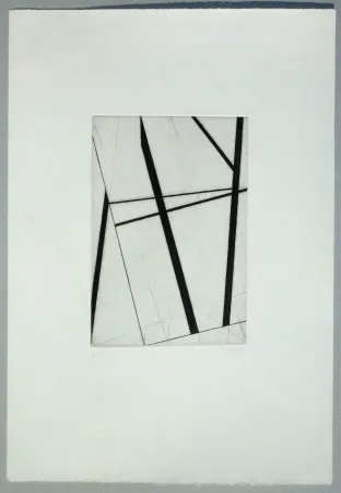 Stich Pardi - Composizione