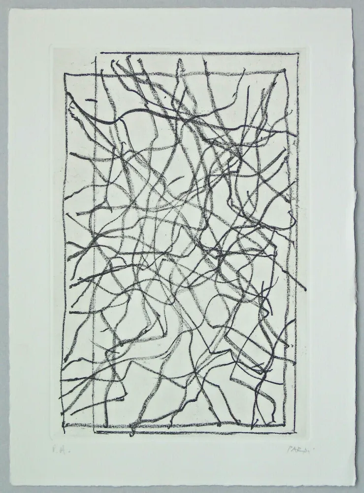 Stich Pardi - Composizione