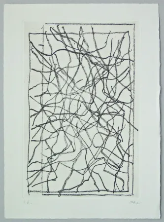 Stich Pardi - Composizione