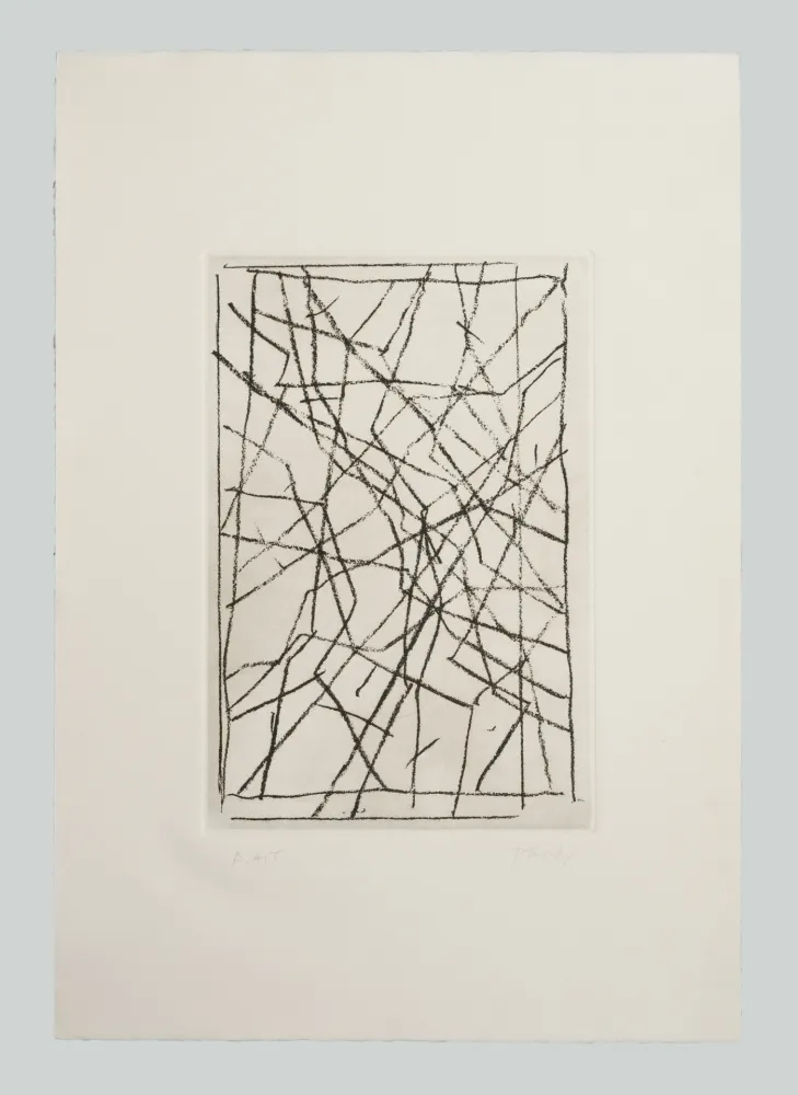 Stich Pardi - Tiranti