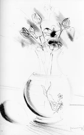 Illustriertes Buch Parmiggiani - Satyavati