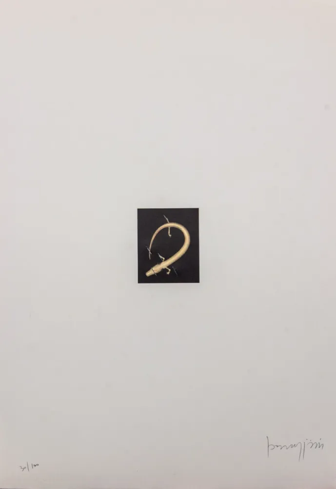 Lithographie Parmiggiani - SENZA TITOLO