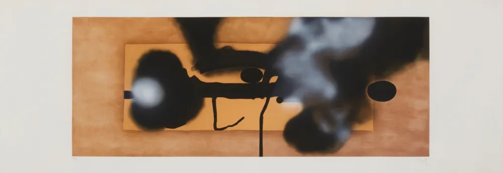 Stich Pasmore - Metemorphosis