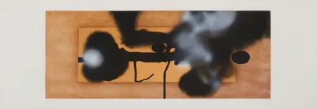 Stich Pasmore - Metemorphosis