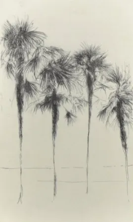 Stich Paul P - Palmeres