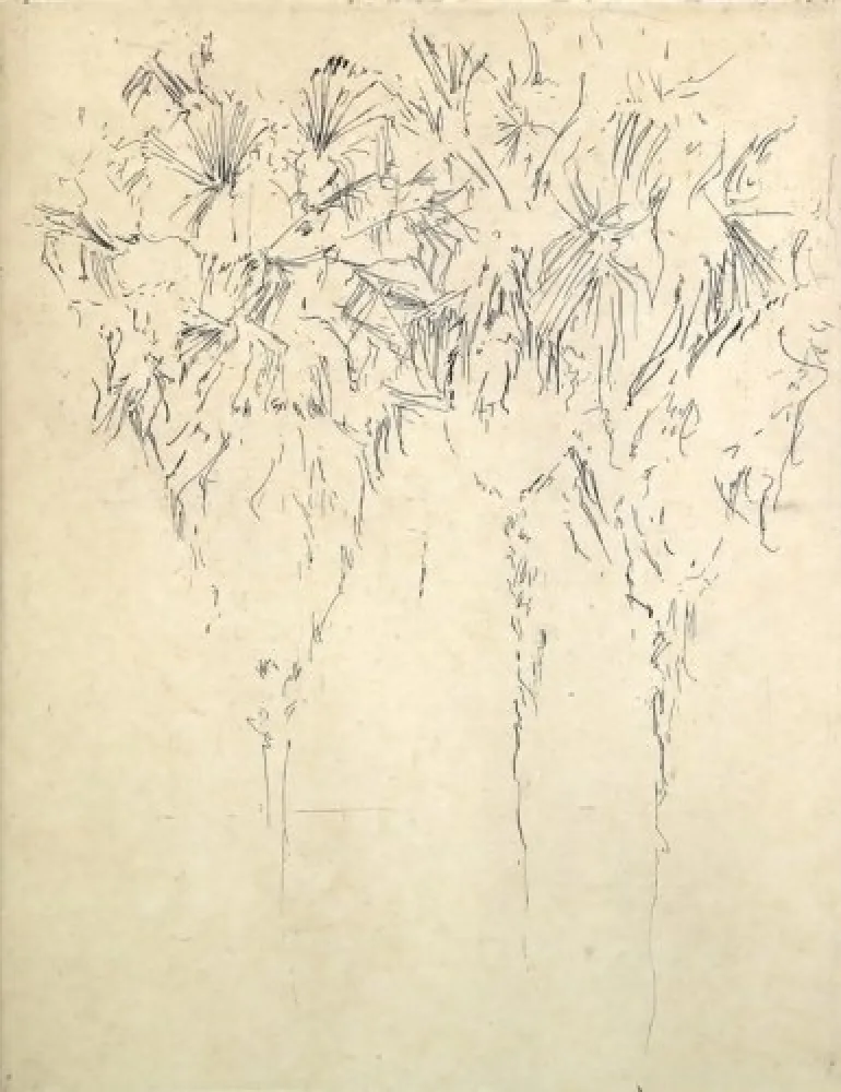 Stich Paul P - Tres palmeres