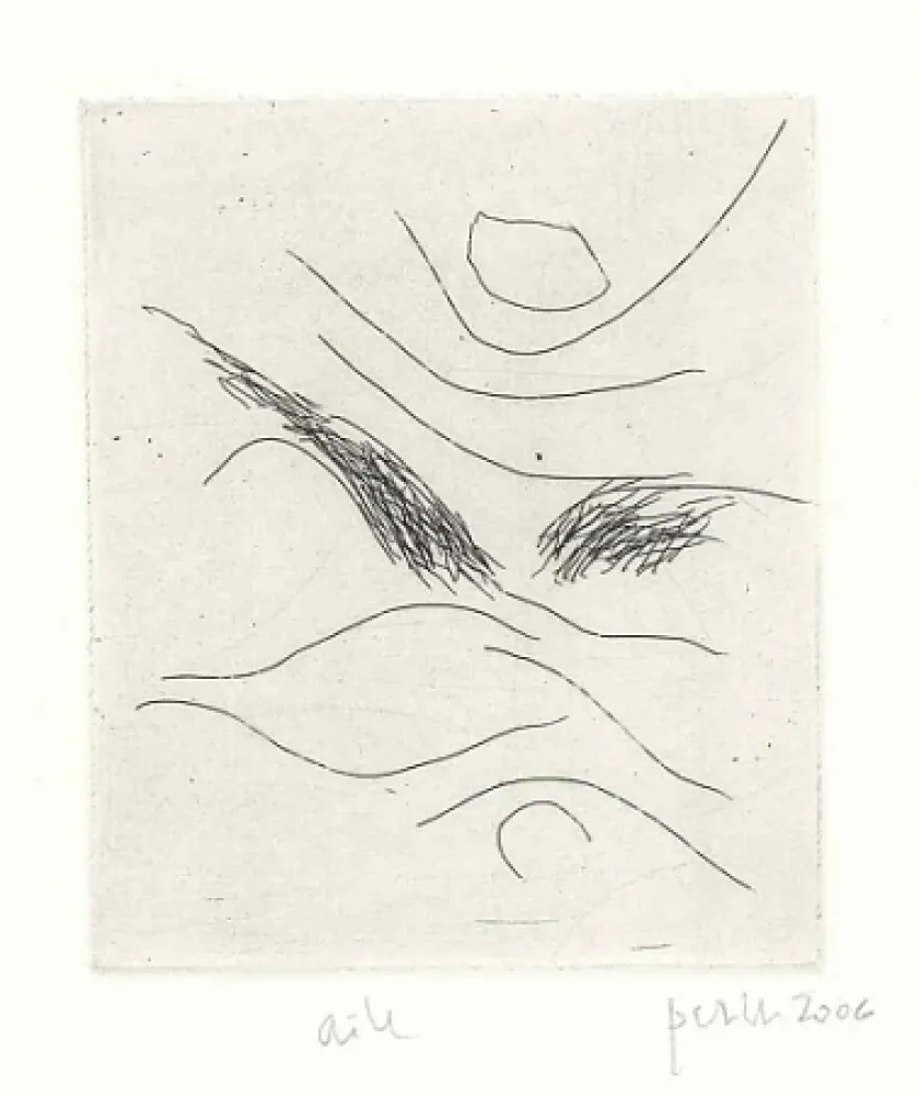 Illustriertes Buch Perilli - Dal diario di Max