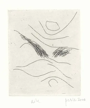 Illustriertes Buch Perilli - Dal diario di Max