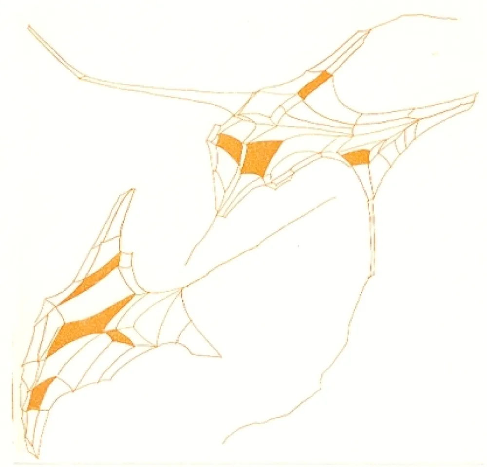 Illustriertes Buch Perilli - Phrases