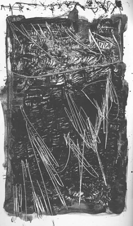 Illustriertes Buch Perilli - Theatrum Sanitatis