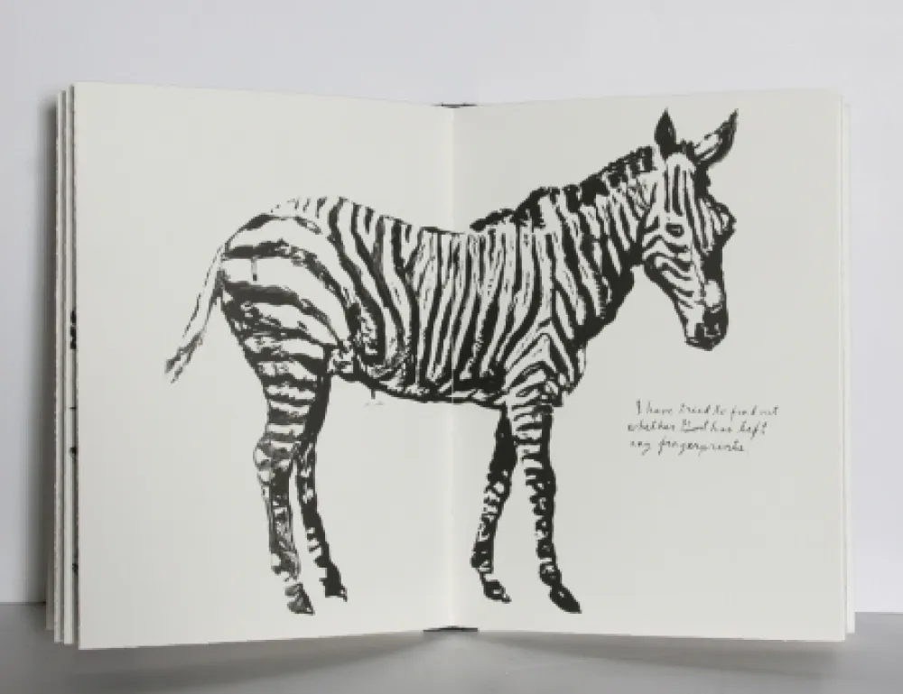 Illustriertes Buch Pettibon - Plots on Loan