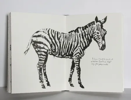 Illustriertes Buch Pettibon - Plots on Loan